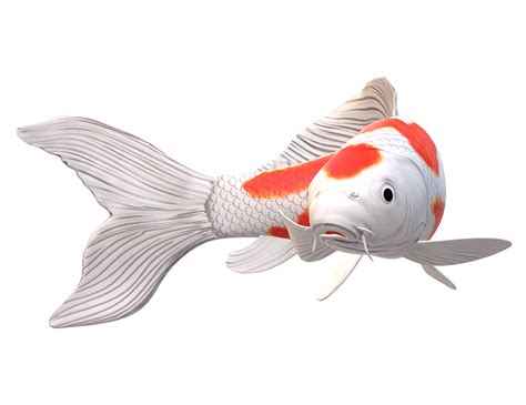 fish png|20,000+ Free Fish Png & Png Images .